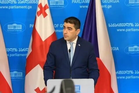 Председатель парламента грузии
