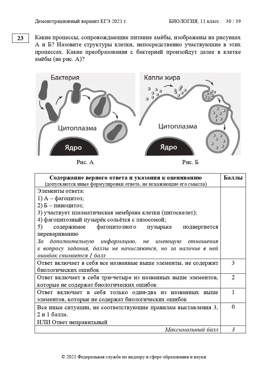 Коэволюция ЕГЭ биология 2021. Реальный вариант ЕГЭ по биологии 2021. Биология ЕГЭ 2023 варианты. Задания ЕГЭ биология 2023. Демо версии биология 2023