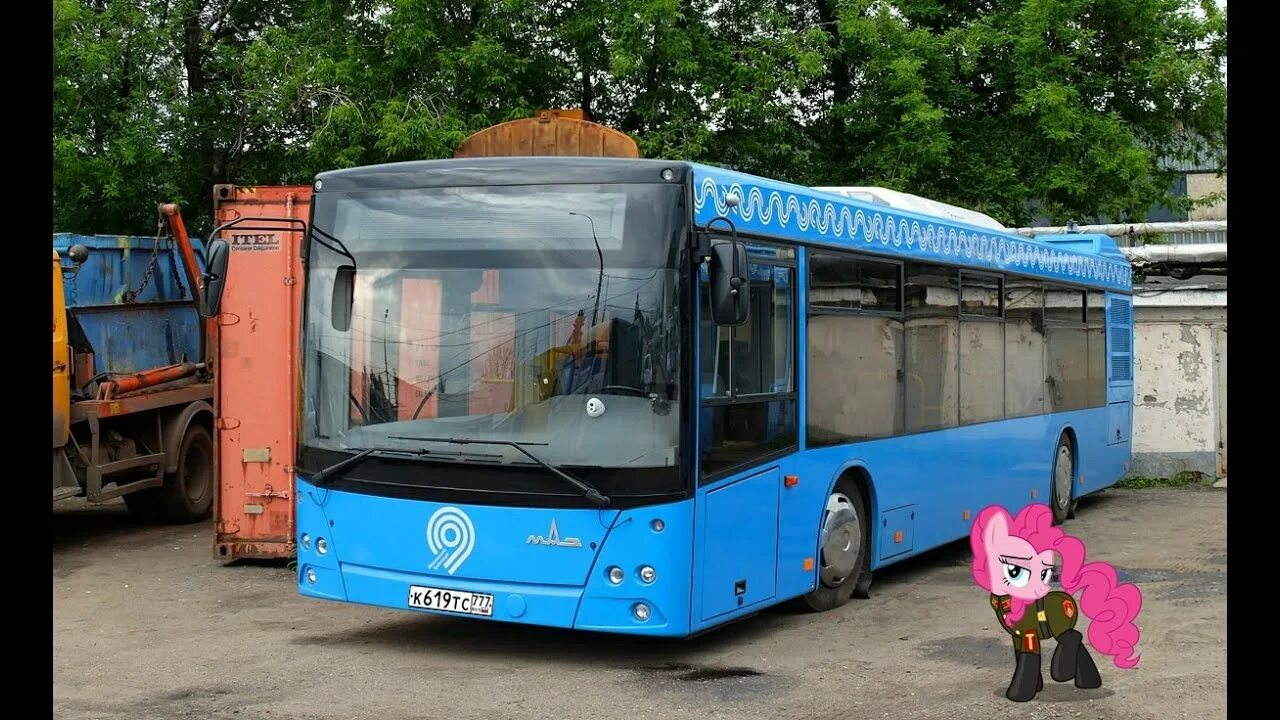 МАЗ 203069. МАЗ-203 Трансавтолиз. МАЗ-203 автобус Трансавтолиз.