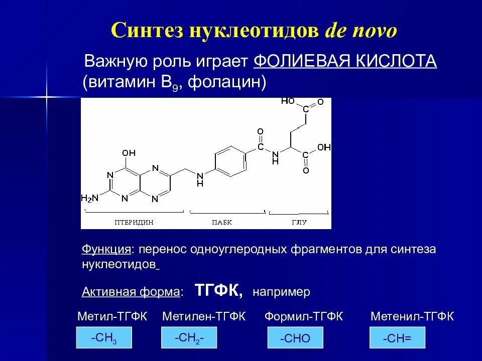 Витамин b9 Синтез. Активная форма фолиевой кислоты. Роль фолиевой кислоты в синтезе пуриновых нуклеотидов. Синтез фолиевой кислоты.