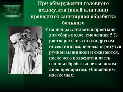 Противопедикулезная обработка пациента алгоритм