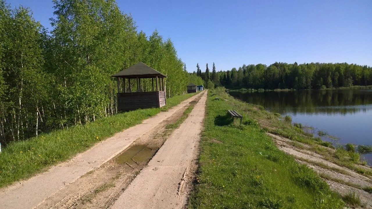 Деревня Костино Владимирская область. Поселок Метенино Петушинский район. Деревня Костино Владимирская область Петушинский район. Костино (Петушинский район). Костино петушинский