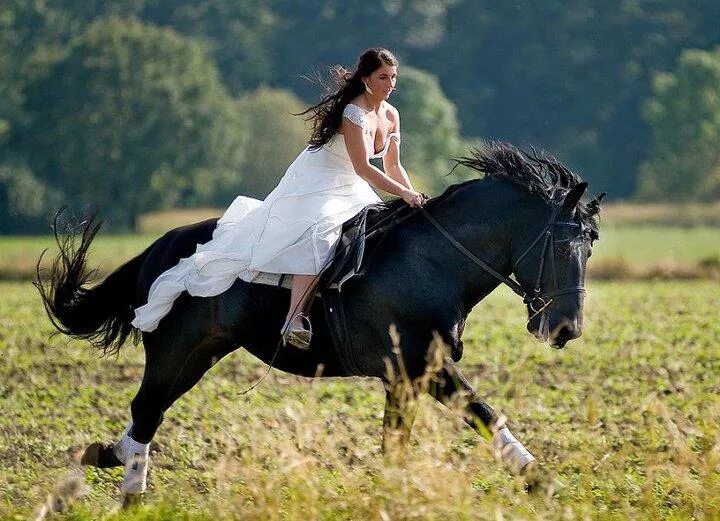 Брюнетка скачет. Брюнетка верхом на лошади. Фотосессия с лошадьми. Девушка на коне верхом. Девушки верхом на лошадях галопом.