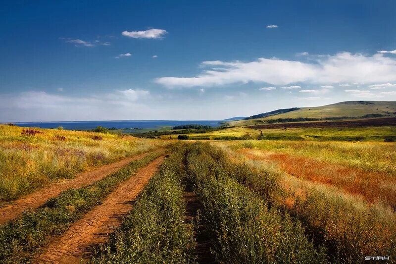 Составить простор. Составить простор. Составить простор. Донская степь ростовская область. Родные просторы живопись.