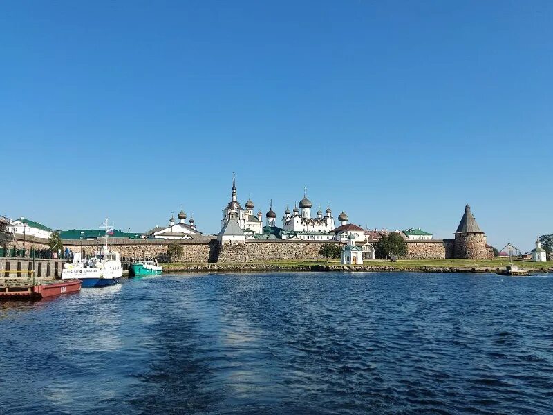 ано молодые