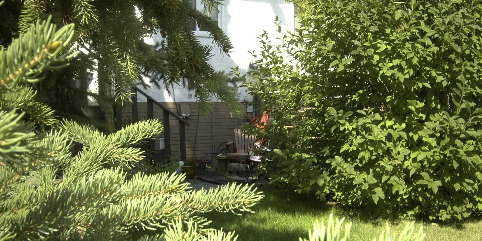 Найдите кота на картинке. Найди кота приложение. Игра найди кота. Найди кота в огороде. Найди кота на картинке.