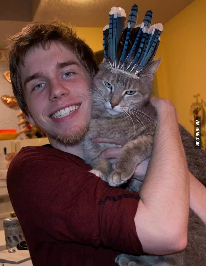 My friends have a cat. Кошка Мем. Comrade Cat.
