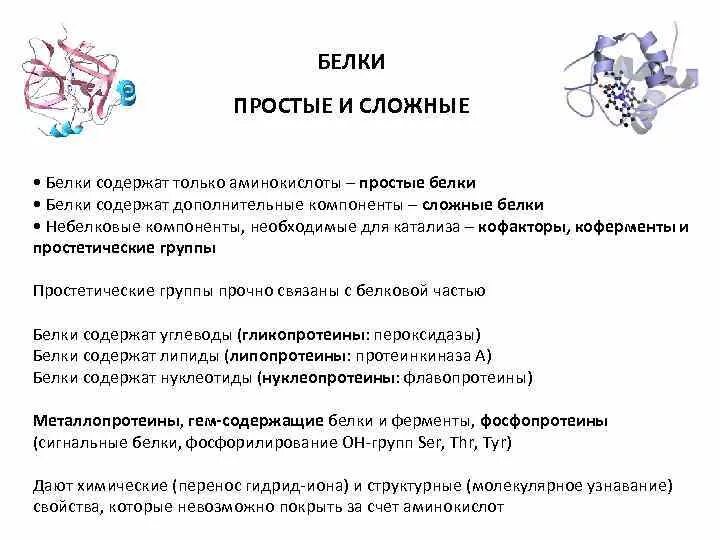 Сложные белки состав. Биологические функции простых и сложных белков. Простые и сложные белки таблица. Простые белки и сложные белки. Строение белков простые и сложные.