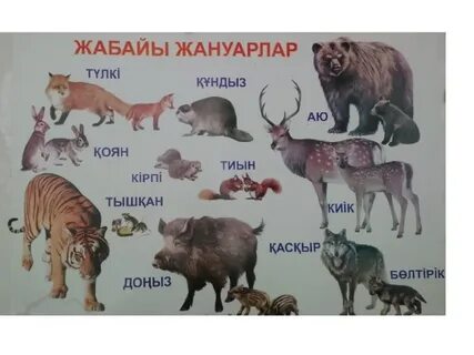 Жабайы жағажайлар: ашық фотосуреттер