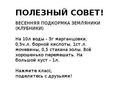 Подкормка клубники весной йодом. Подкормка клубники борной кислотой и йодом и марганцовкой. Подкормка клубники борной кислотой. Полезные советы для огорода. Подкормка для клубники весной с борной кислотой марганцовкой и йодом.