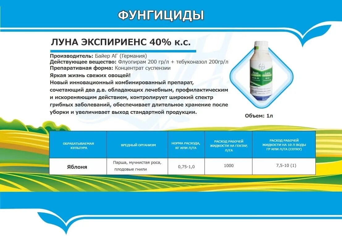 Луна фунгицид инструкция по применению для томатов. Луна экспириенс. луна фунгицид. луна экспириенс норма расхода. луна фунгицид инструкция.