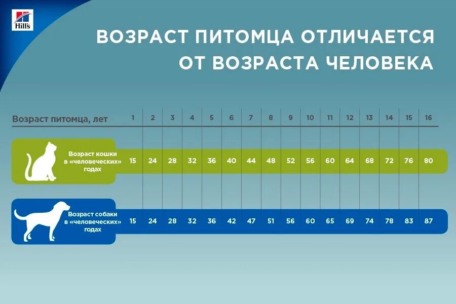 возраст собаки и человека соотношение таблица. возраст собаки 7 лет по человеческим меркам таблица. 77 год сколько лет. сколько лет живут собаки по человеческим меркам таблица.