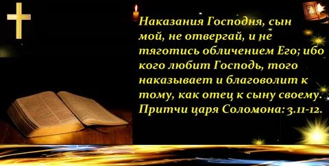 Отвергнутая истинная читать