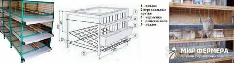 Чертежи клеток для несушек своими руками