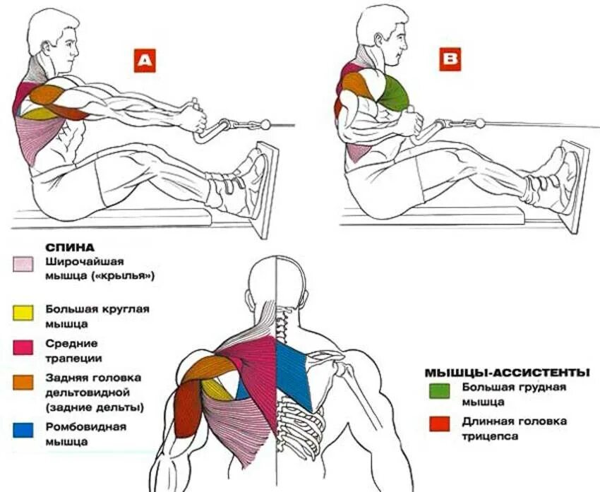 Разминка мышц плечевого пояса и рук. Комплекс упражнений для рук. Комплекс упражнений для мышц плечевого пояса. Комплекс упражнений для развития силы плечевого пояса. Упражнения для мышц пояса.