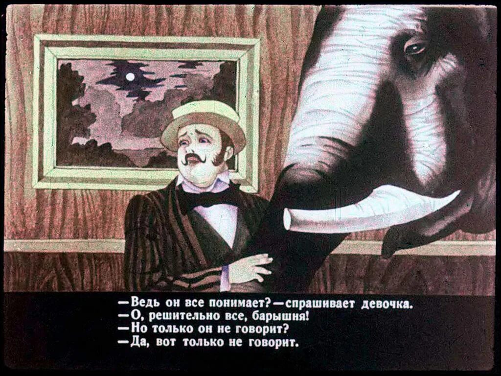 Куприн слон как звали маленькую девочку. Слон рассказ куприна. куприн а. и. &quot;слон&quot;. слон: рассказы. куприн а.. слон из рассказа куприна слон.