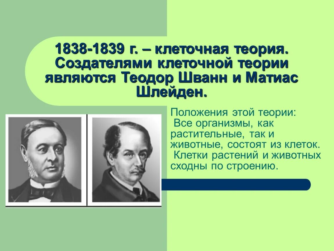 Клеточная теория строения организмов. Шлейден вклад в клеточную теорию. Т Шванн и м Шлейден вклад. Создатели клеточной теории т Шванн м Шлейден. Теория клетки Шванн и м Шлейден.