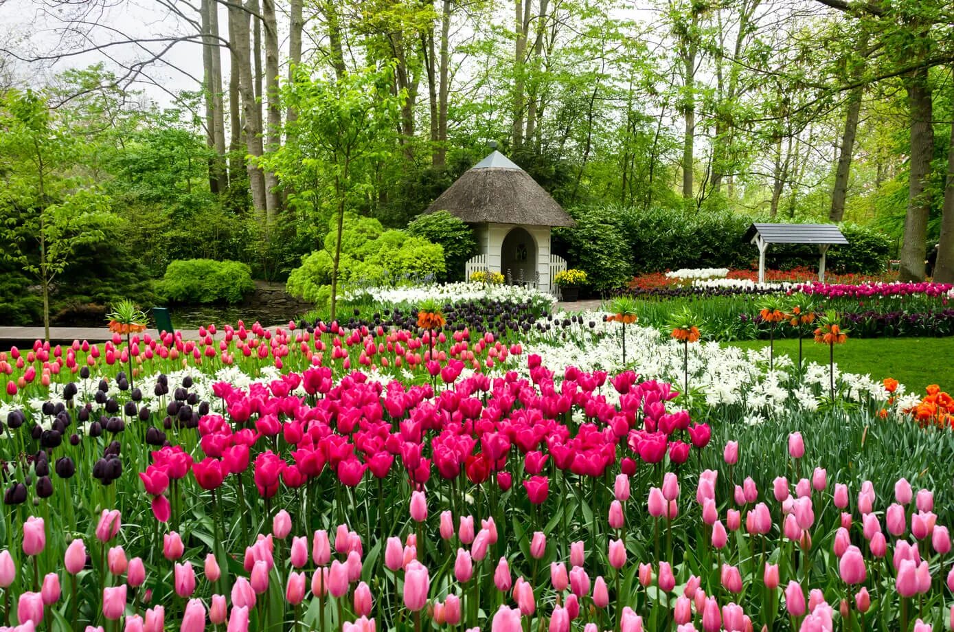 Парк Кейкенхоф, Голландия-. Парк тюльпанов Кейкенхоф. Парк кёкенхоф, Лиссе, Нидерланды. Парк цветов Кейкенхоф Нидерланды. Весенний парад