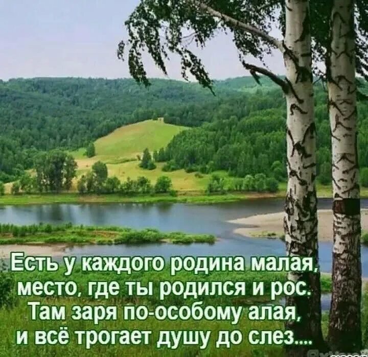 Фраза в деревню в глушь. Красивые высказывания о родине. Красивые высказывания о малой родине. Цитаты о малой родине. Красивые афоризмы о малой родине.