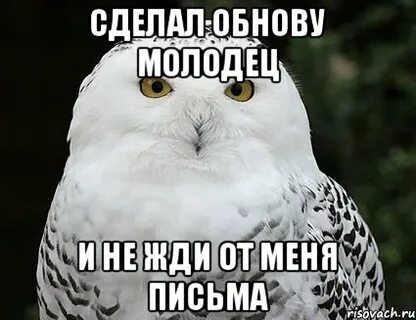 Сделай обнову
