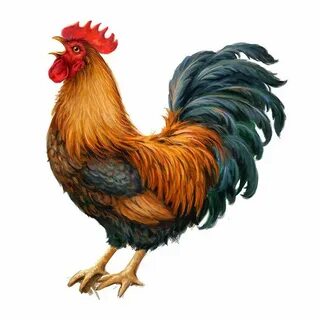 Эротикалық әңгімелер: орыс классикасы