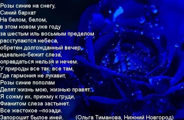 Стих про синие розы. Стих про синий цвет. Синее красивое стихотворение. Стихи со словом голубой.