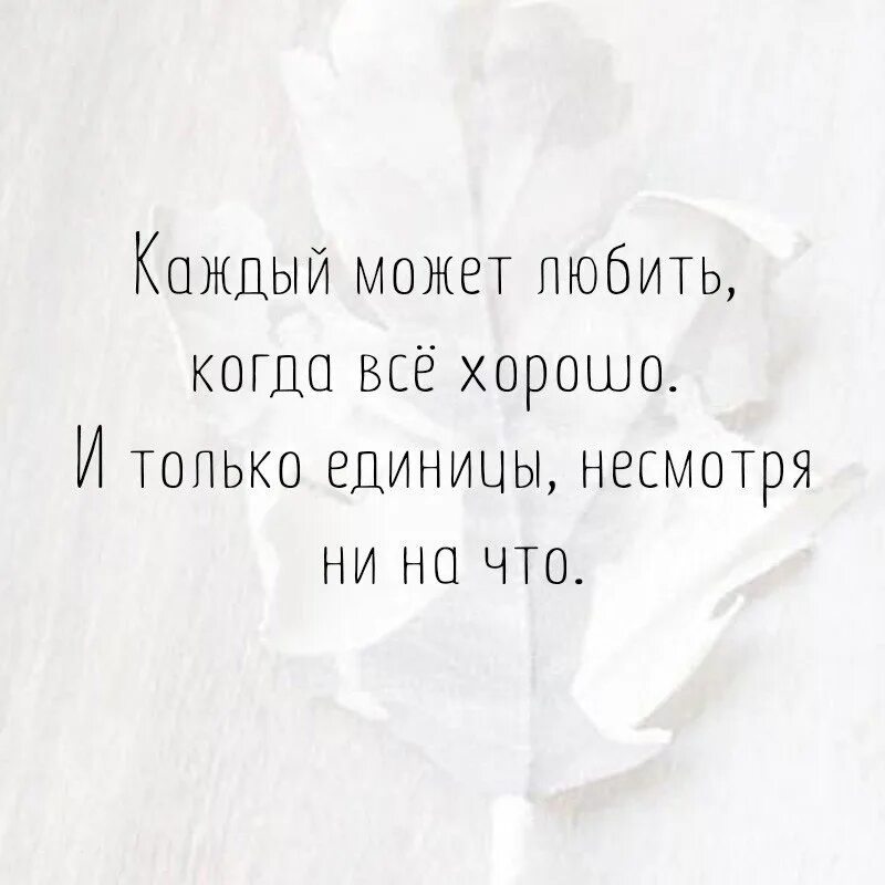 Жизнь несмотря ни на что. Каждый может любить когда все хорошо. я люблю тебя несмотря не на что. когда всё хорошо любить может каждый. любите несмотря.