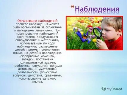Наблюдаемый и есть наблюдаемое