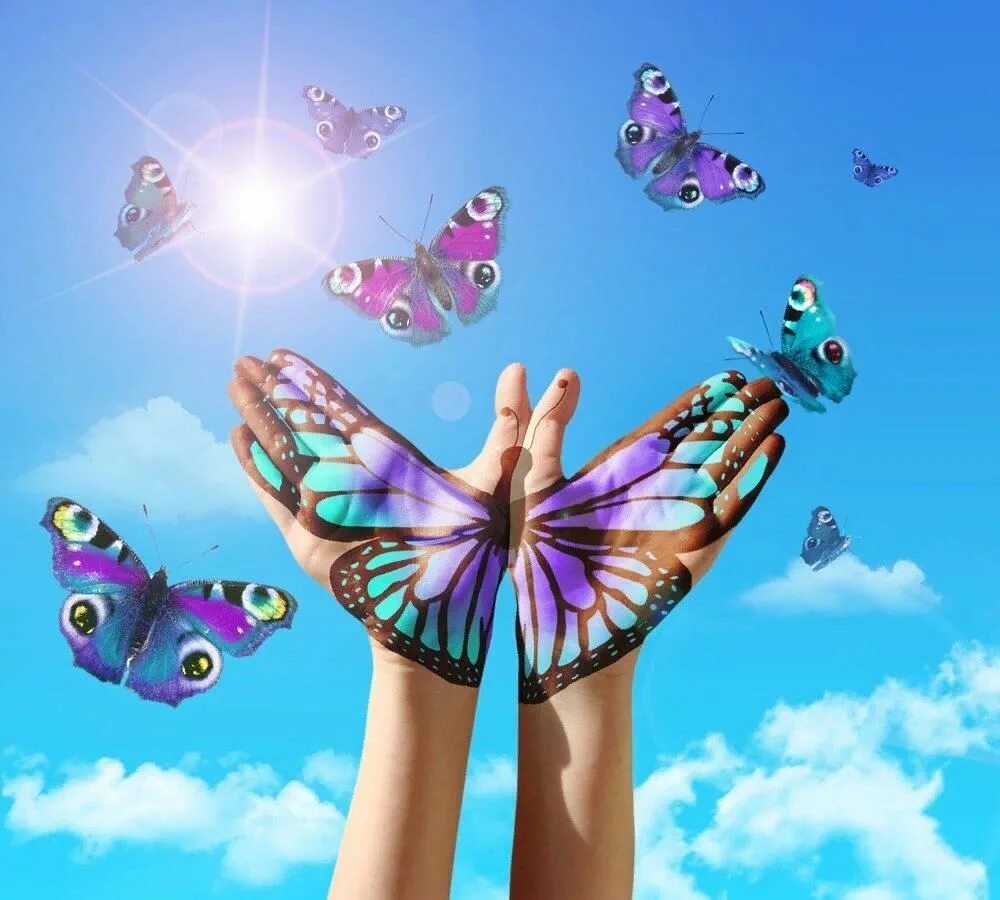 Changes butterfly