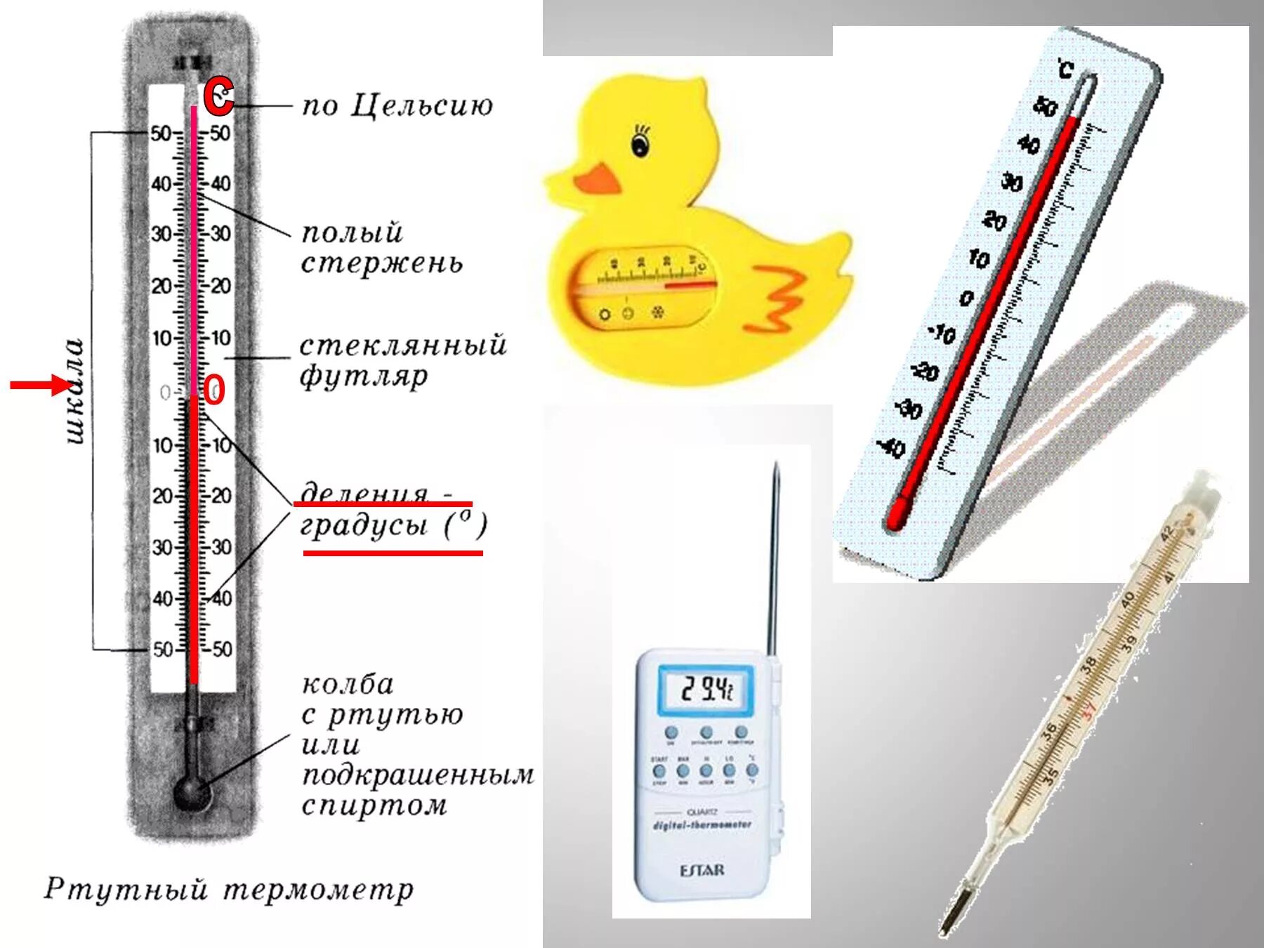 Тест измерение температуры. Спиртовой термометр строение. Строение ртутного термометра. Термометр уличный ртутный диапазон измерений. Строение термометра 2 класс.