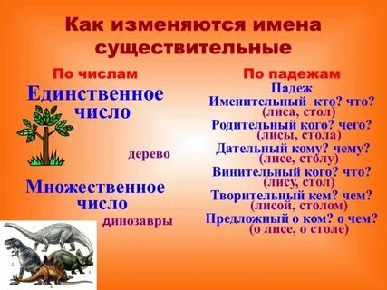 Деревья какие имя существительное