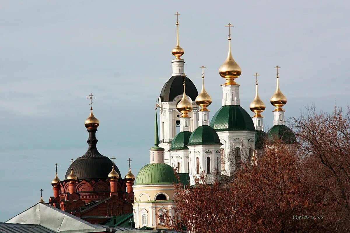 Саровский мужской монастырь. Саровский мужской монастырь саровская пустынь. Свято-успенский мужской монастырь саров. Свято успенская пустынь саров. Саров мужской монастырь.