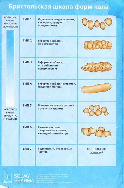 Классификация кала. Бристольская шкала кала Тип 2. Бристольская шкала форм кала причины.