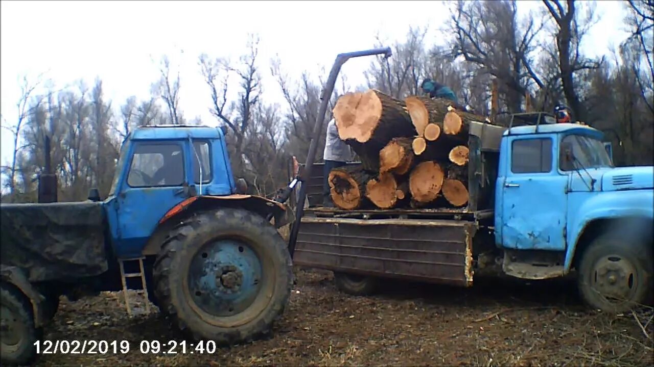 Т 40 С дровами. Погрузка леса трактором т 40. МТЗ 80 возит дрова. Погрузка брёвен ЗИЛ-131.