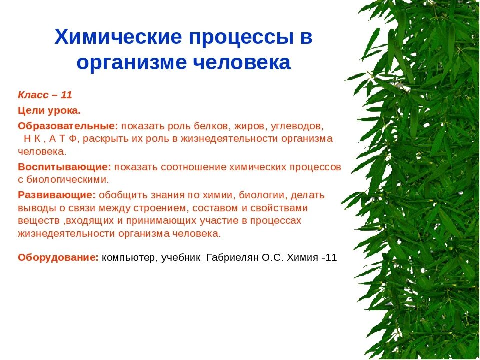 Химические процессы в организме человека. Химические реакции в живых организмах. Химические процессы в живых организмах. Какие химические реакции происходят в организме. Какие есть реакции организма