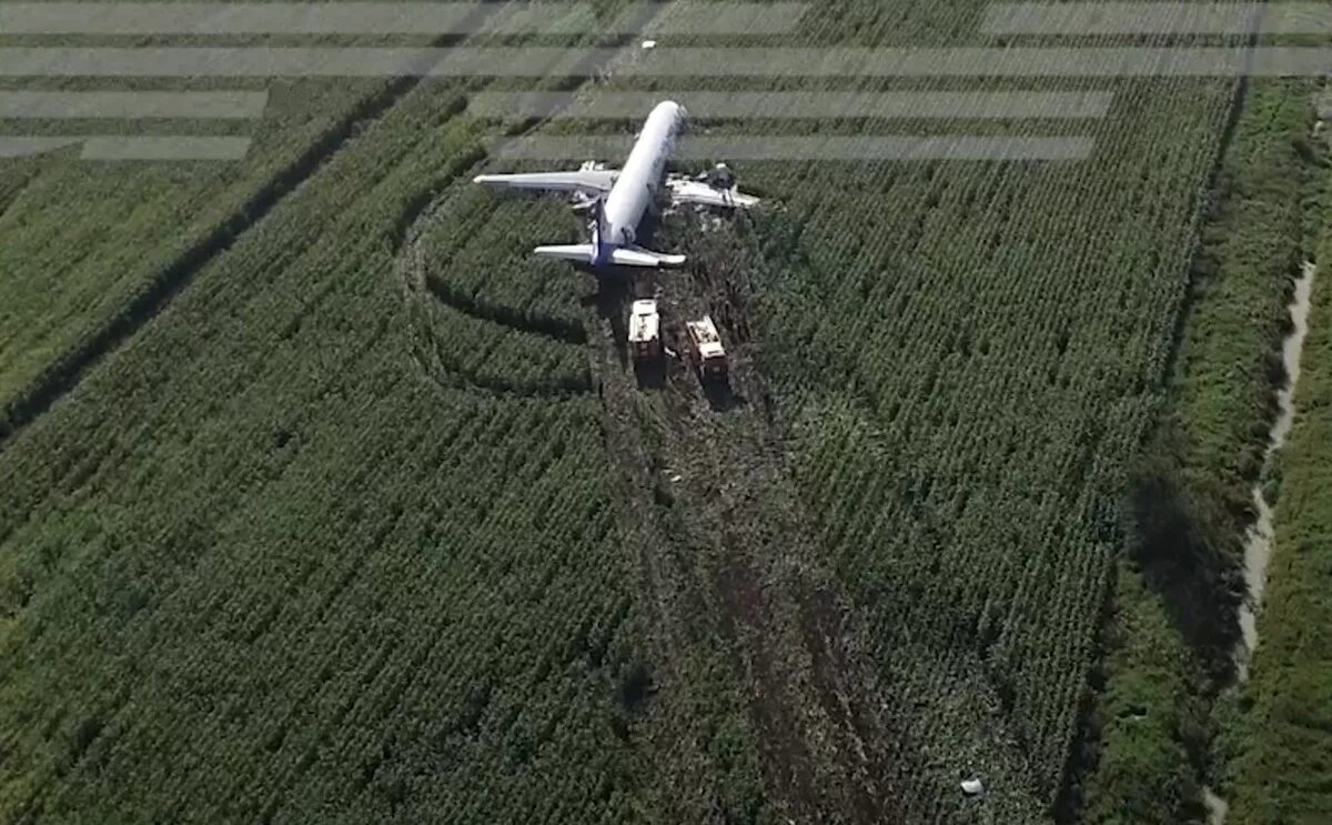 Посадка самолёта в кукурузном поле в жуковском. На кукурузном поле airbus a321. Аэробус а321 посадка на кукурузное поле. Самолет на кукурузном поле в жуковском пилоты. На кукурузном поле airbus a321.
