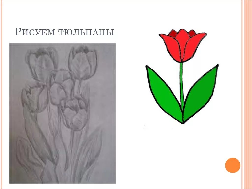 Как нарисовать тюльпан ребенку. Рисование тюльпанов. поэтапное рисование тюльпана. нарисовать тюльпан легко. как нарисовать тюльпан поэтапно.