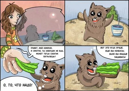 То куда лучше
