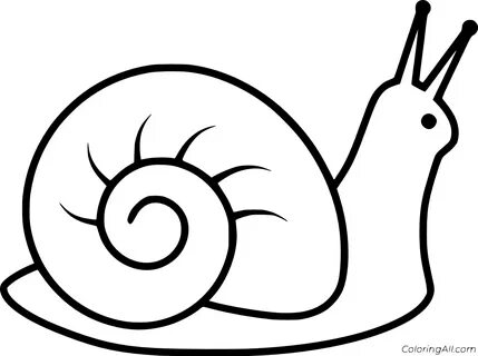 Snail Coloring Pages - ColoringAll