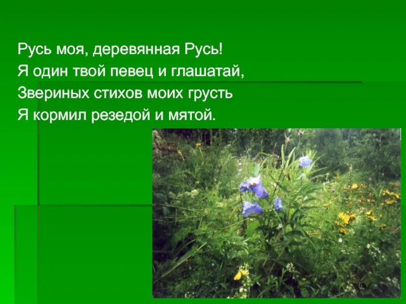 Где живет твоя душа моя русь песня. Есенин стихи о родине. Гой ты русь моя родная есенин. Стихотворение есенина ой ты русь моя родная. Где живет твоя душа моя русь песня.