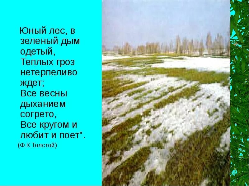 Текст хорошо весной кругом все зелено. Юный лес в зелёный дым одетый. Юный лес в зелёный дым одетый тёплых гроз нетерпеливо. Юный лес в зелёный дым. Юный зеленый лес.