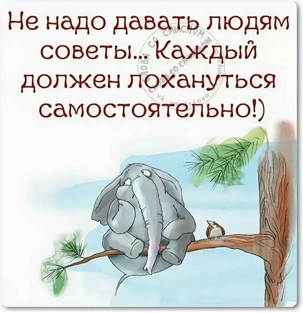 Картинка цитаты юмор. Слова со смыслом. цитаты о жизни с юмором. смешные высказывания в картинках. прикольные афоризмыивикартинках.