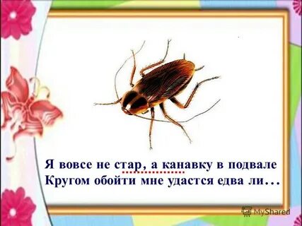 Вовсе не старый