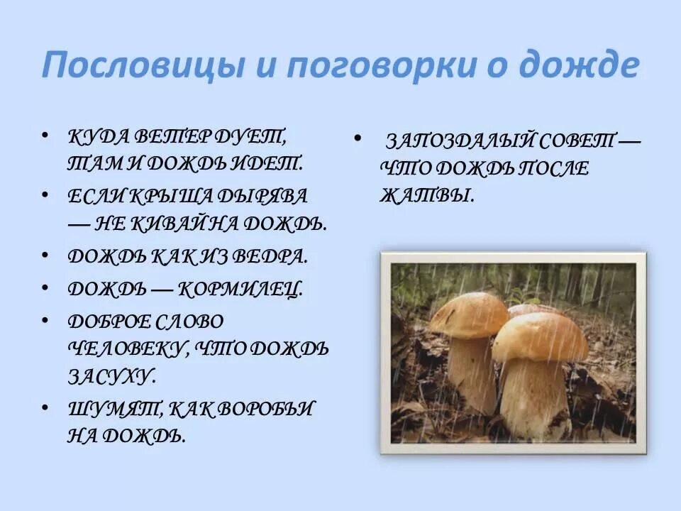 Пословицы о Дожде. Поговорки о Дожде. Пословицы и поговорки о Дожде. Пословицы о Дожде 3 класс.