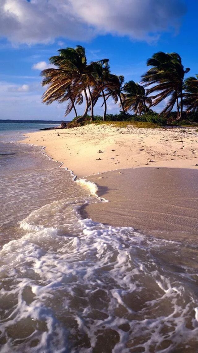Mar caribe. Mar caribe