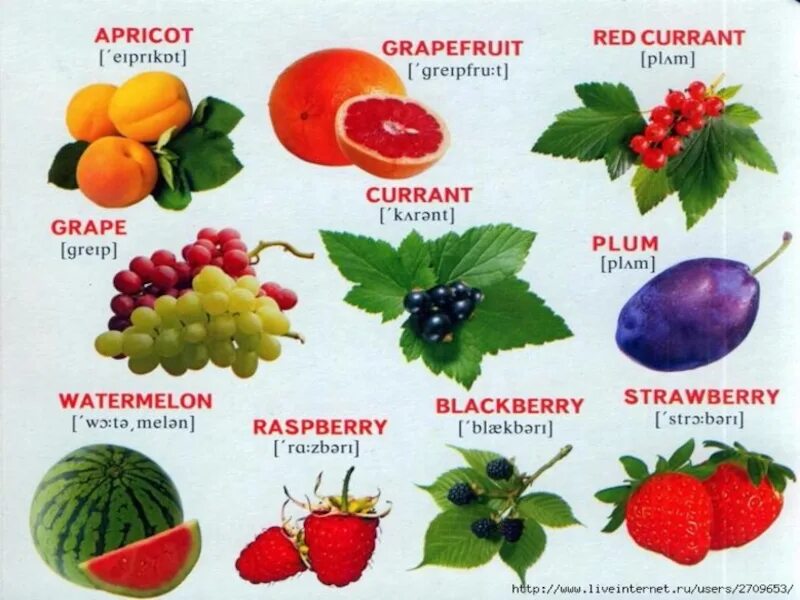 Фрукты список по алфавиту. Ягоды названия. Названия ягод на английском. Название разных ягод. Фрукты названия.