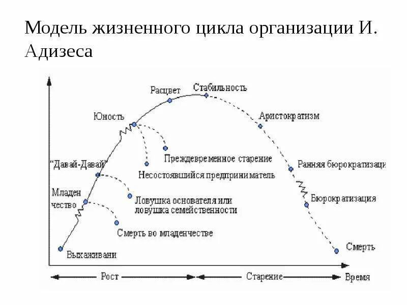 Модели управление жизненного цикла. Ицхак Адизес модель жизненного цикла организации. Ицхак Адизес управление жизненным циклом корпорации. Жизненный цикл корпорации Адизес книга. Ицхак Адизес жизненный цикл организации книга.