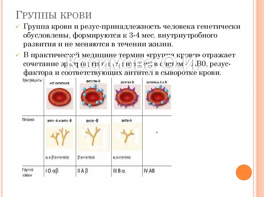 Кровь на резус натощак