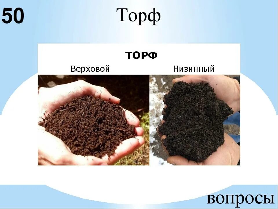 Торф верховой низовой. Торф. Верховой и низинный торф. Торф низинный. Низовой торф.