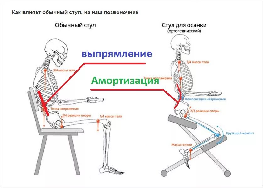 Стул при болях в пояснице. Ортопедический коленный стул чертеж. Коленный стул чертеж. Коленный – ортопедический стул м-80 МСГ. Ортопедический стул для осанки чертеж.